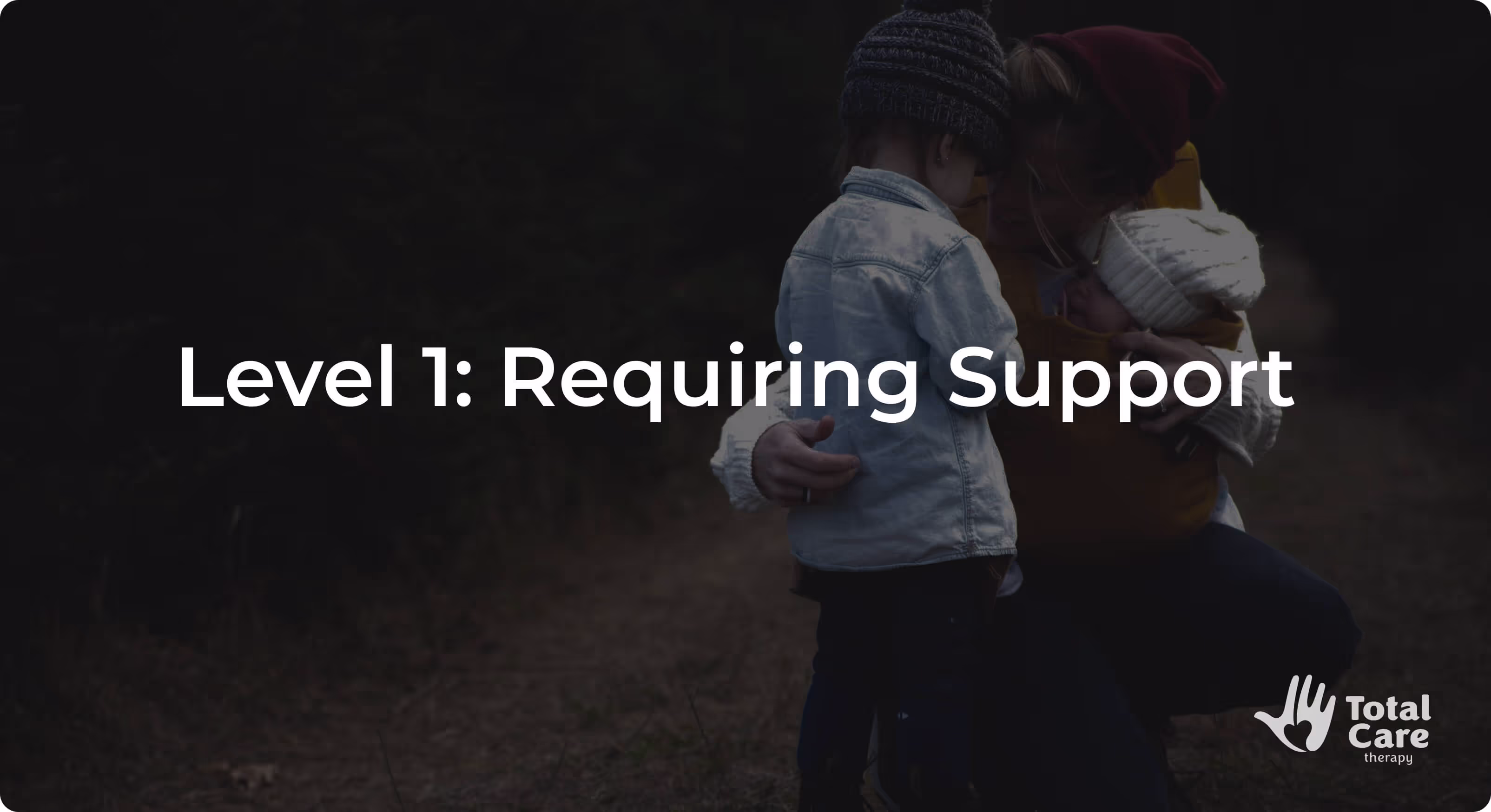 Level 1: Requiring Support