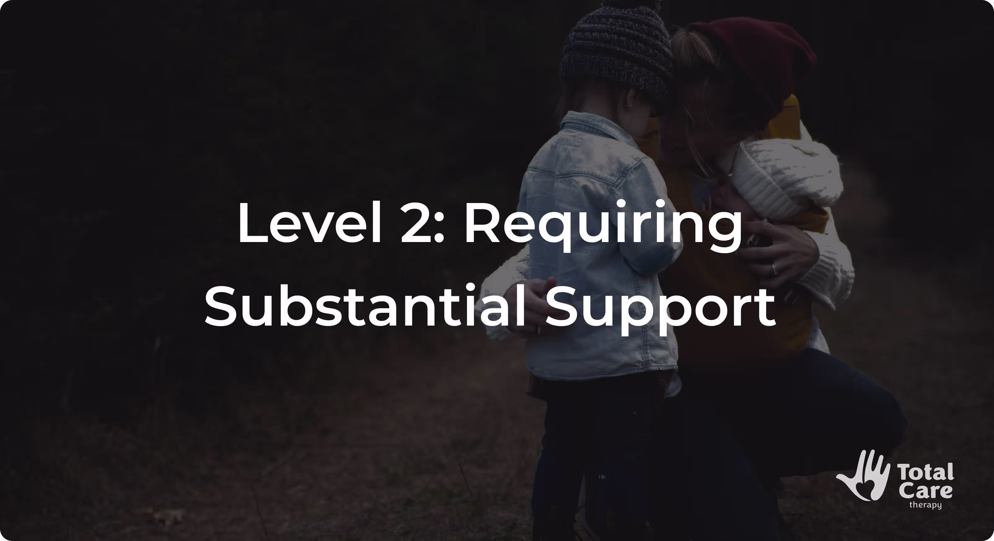 Level 2: Requiring Substantial Support
