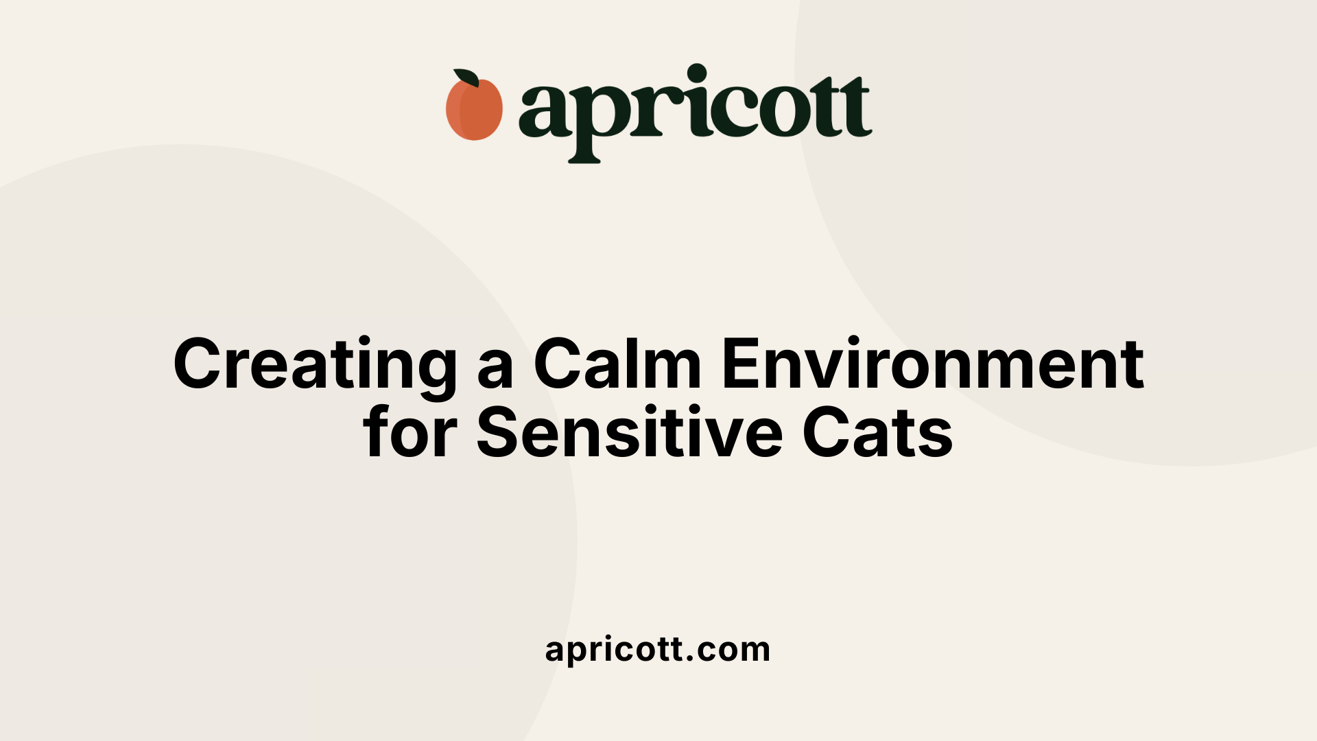Creating a Calm Environment for Sensitive Cats