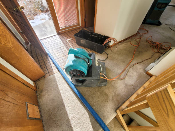 Water Damage Restoration New Haven County