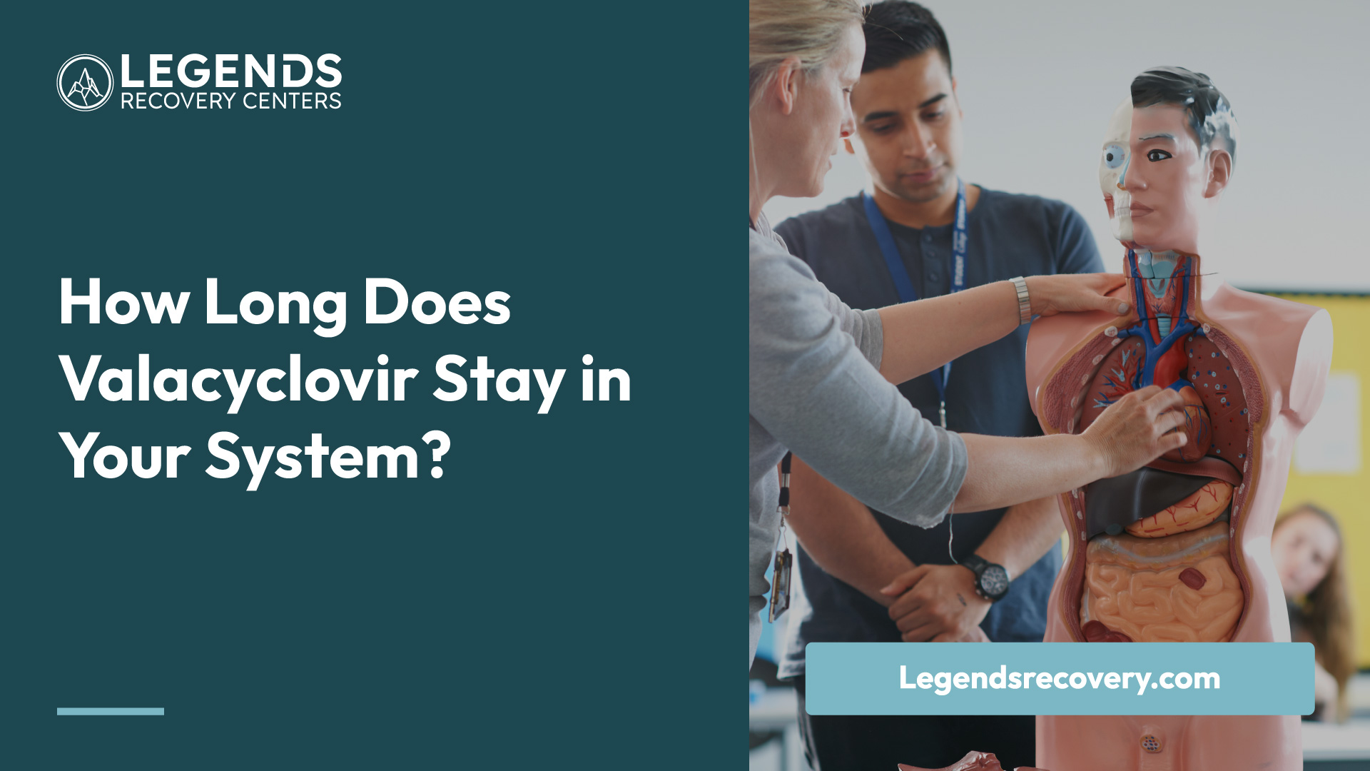 How Long Does Valacyclovir Stay in Your System?