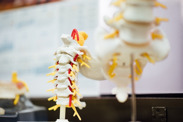 Does Acid Stay in Your Spinal Cord? 