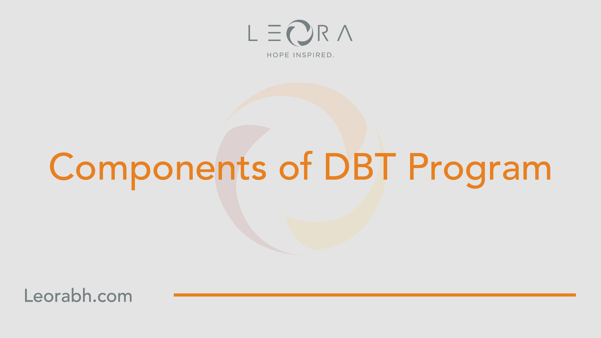Dialectical Behavior Therapy programs for emoional regulation