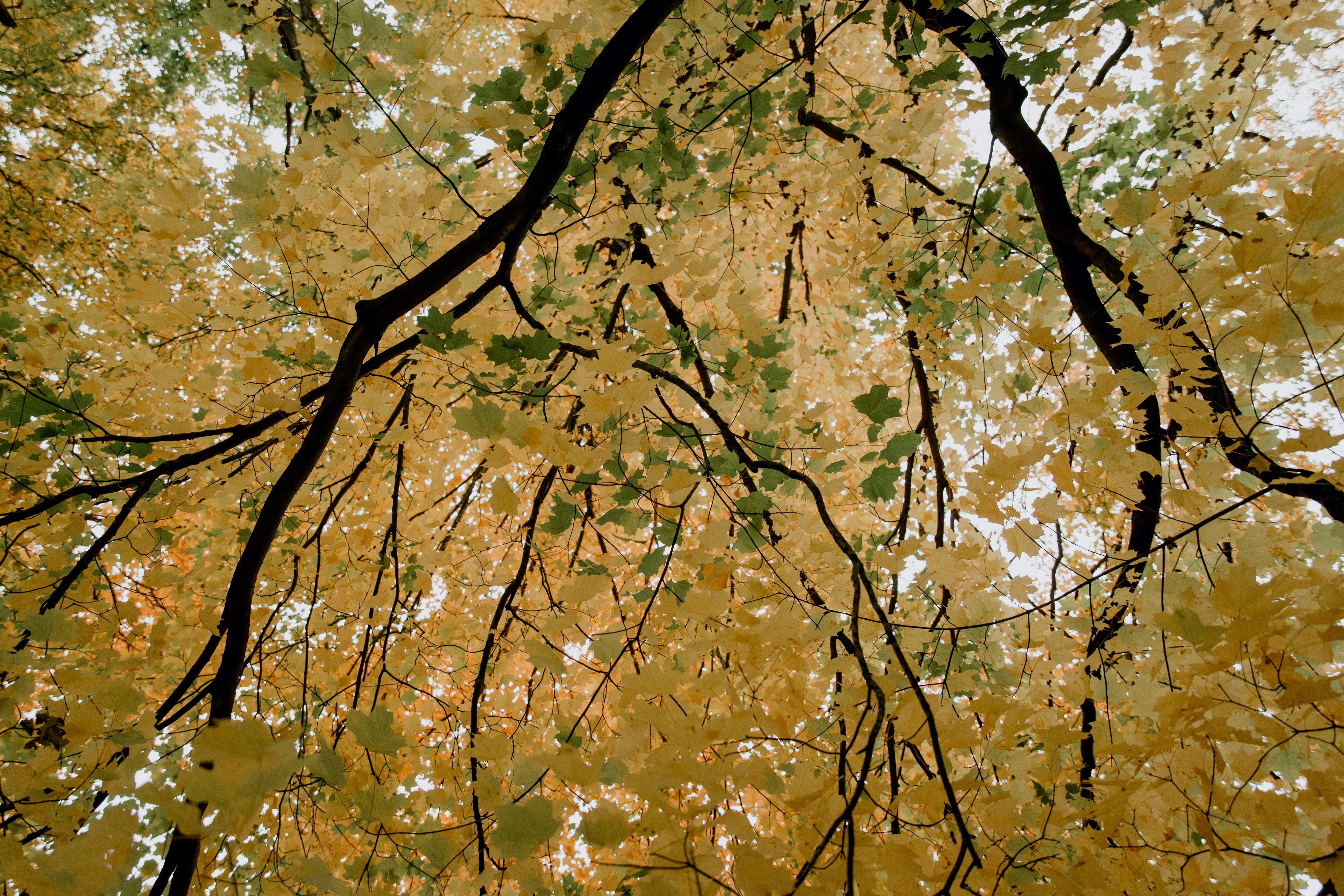 Addiction Recovery Retreats in Ohio