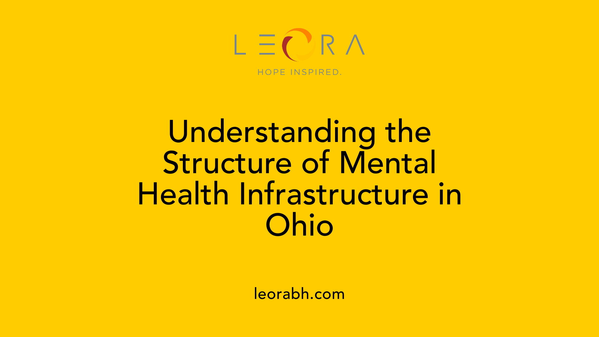 Understanding the Structure of Mental Health Infrastructure in Ohio