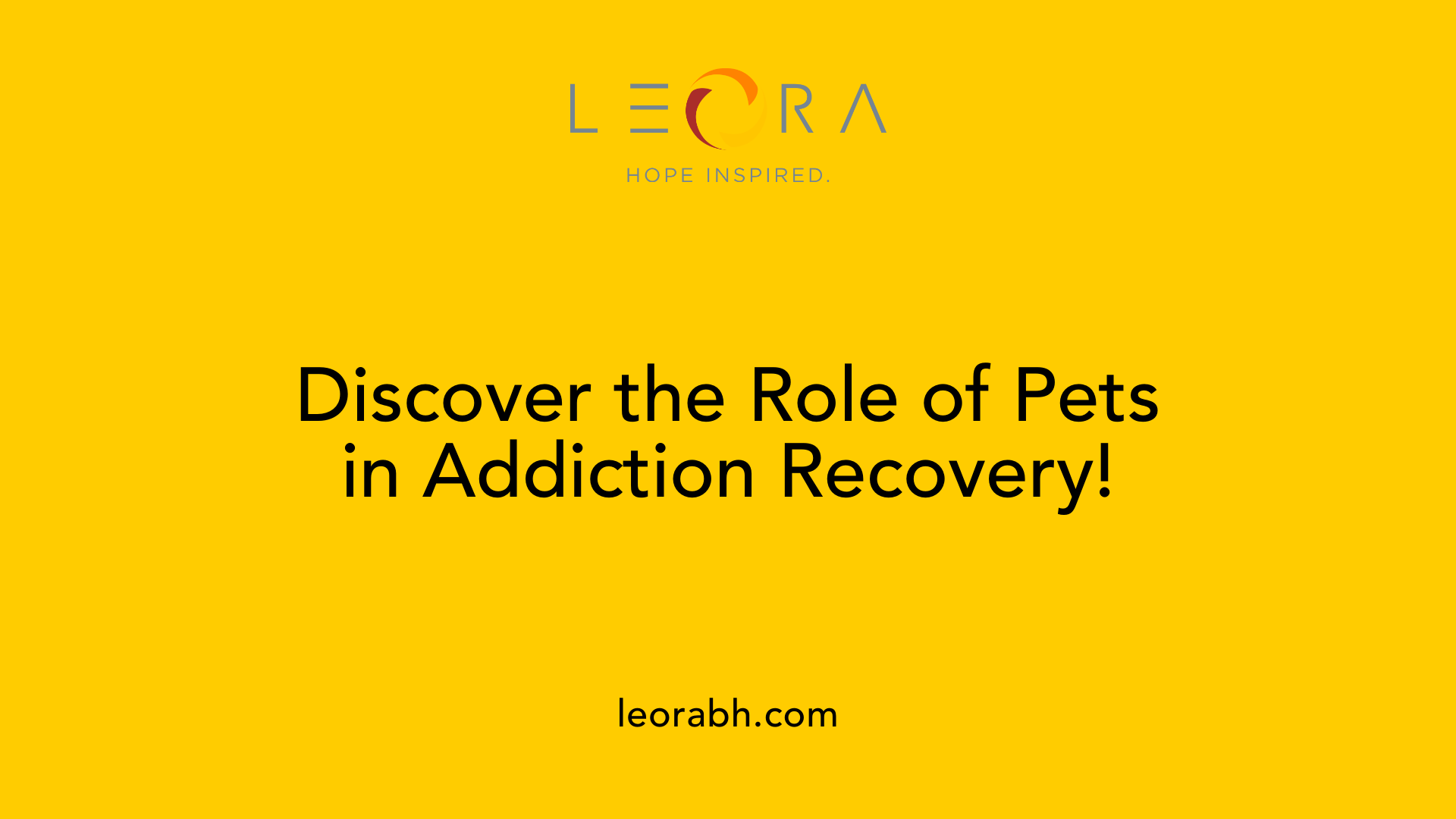 Discover the Role of Pets in Addiction Recovery!