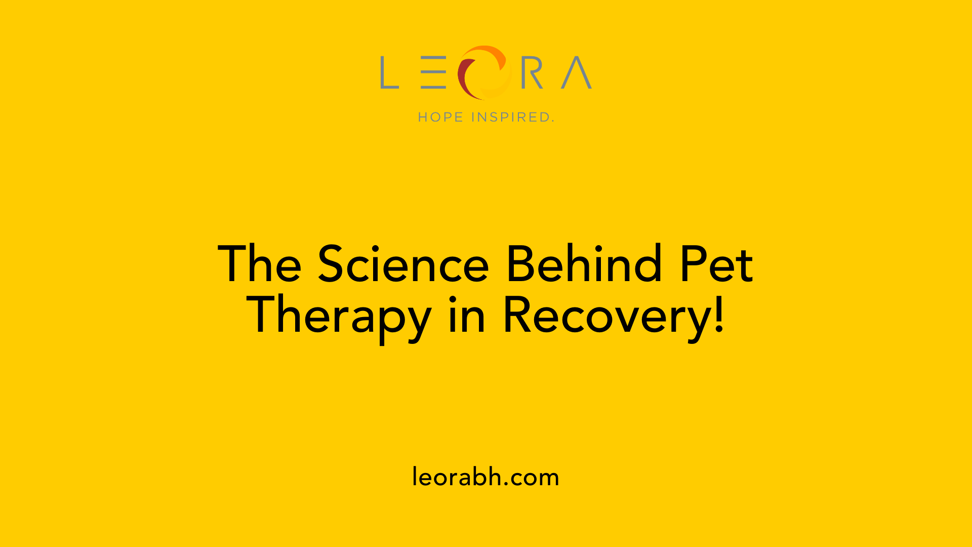 The Science Behind Pet Therapy in Recovery!