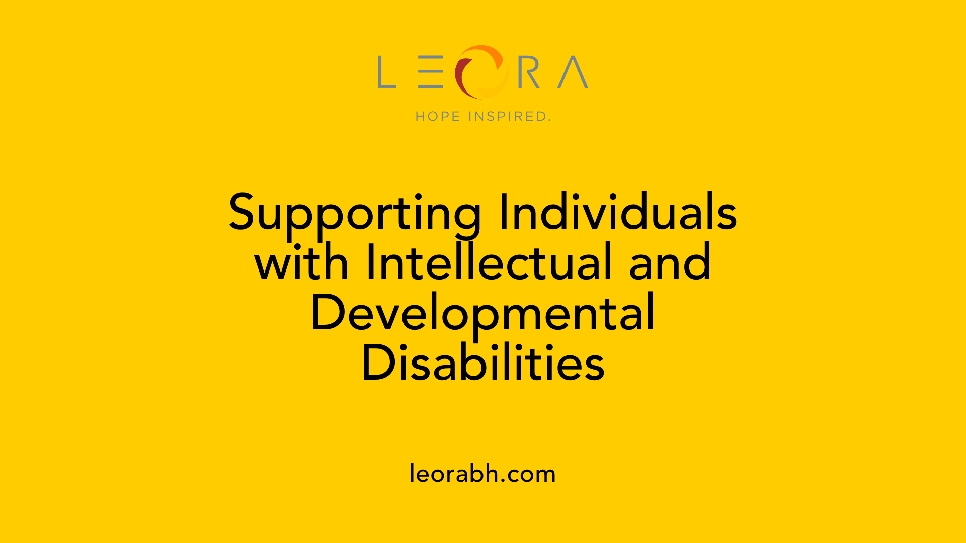 Supporting Individuals with Intellectual and Developmental Disabilities