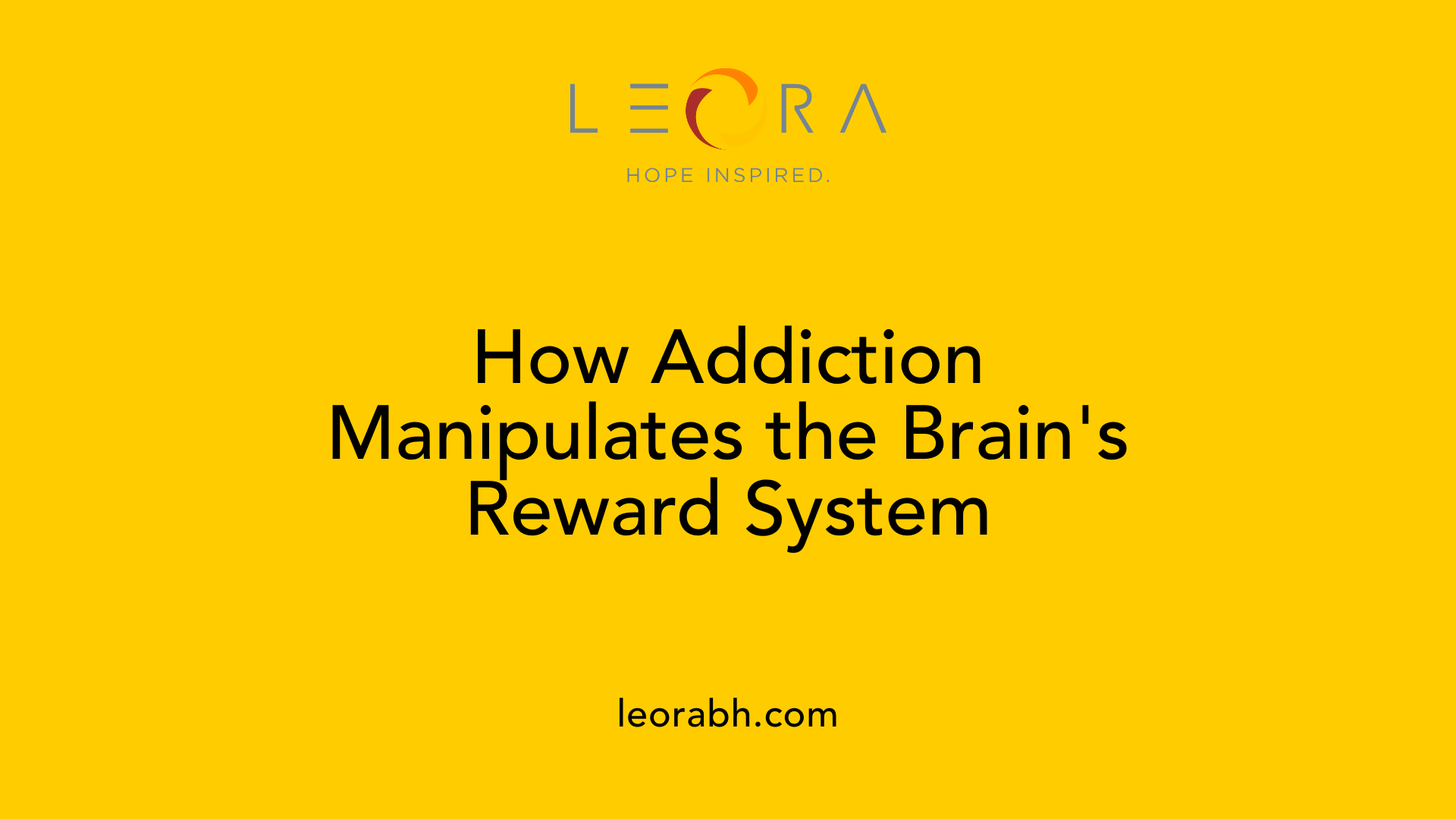 How Addiction Manipulates the Brain's Reward System