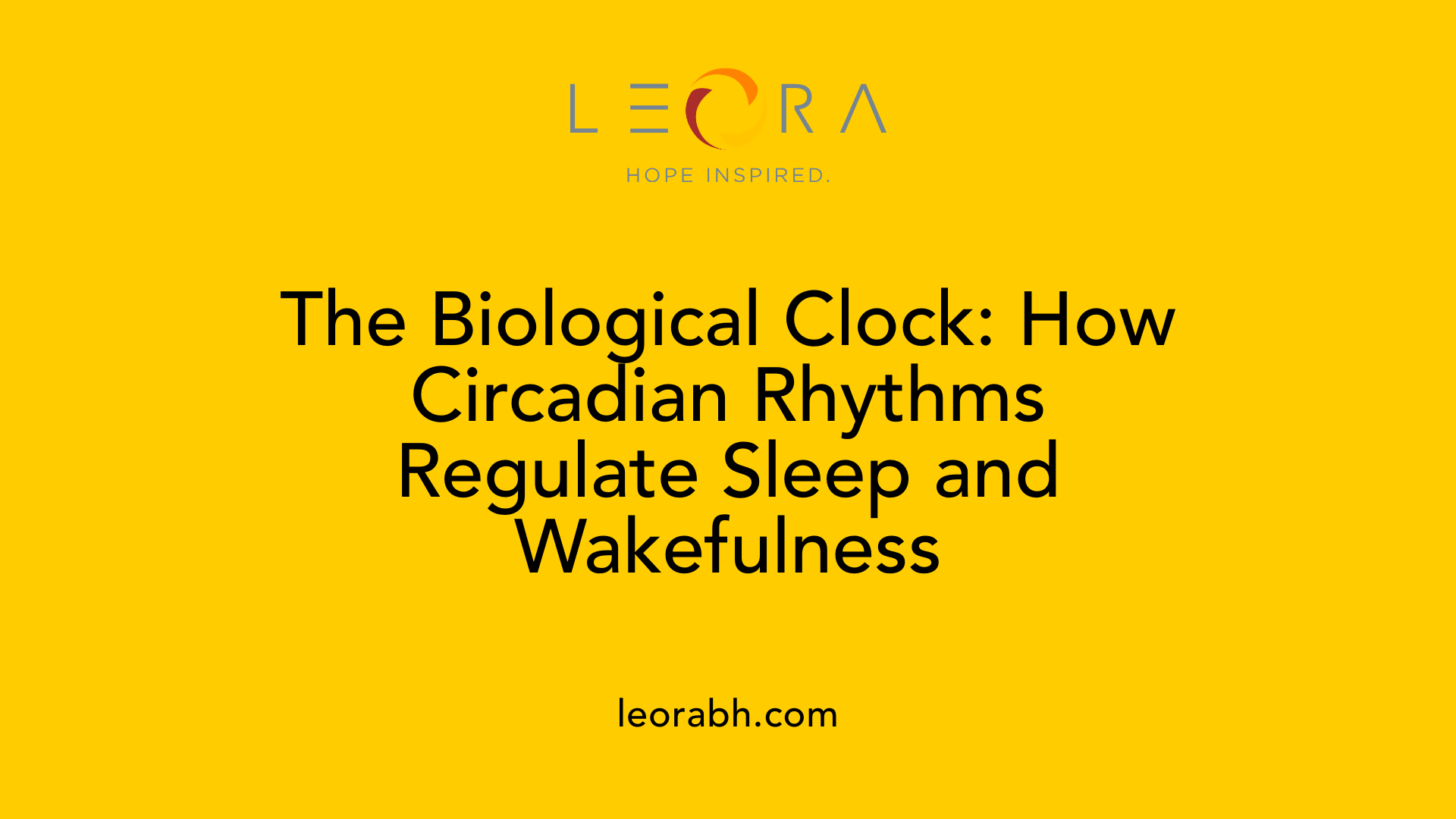 The Biological Clock: How Circadian Rhythms Regulate Sleep and Wakefulness