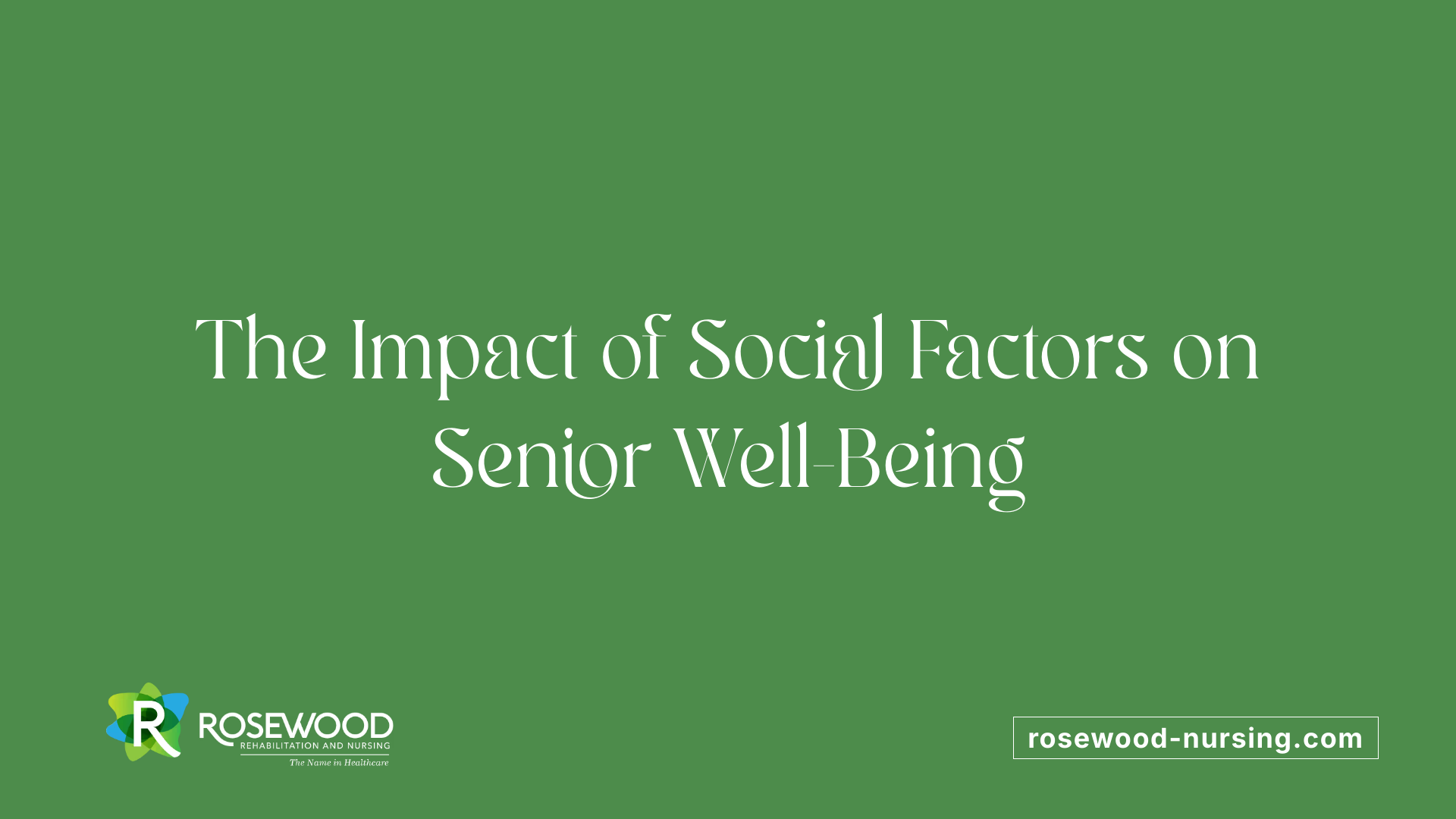 The Impact of Social Factors on Senior Well-Being