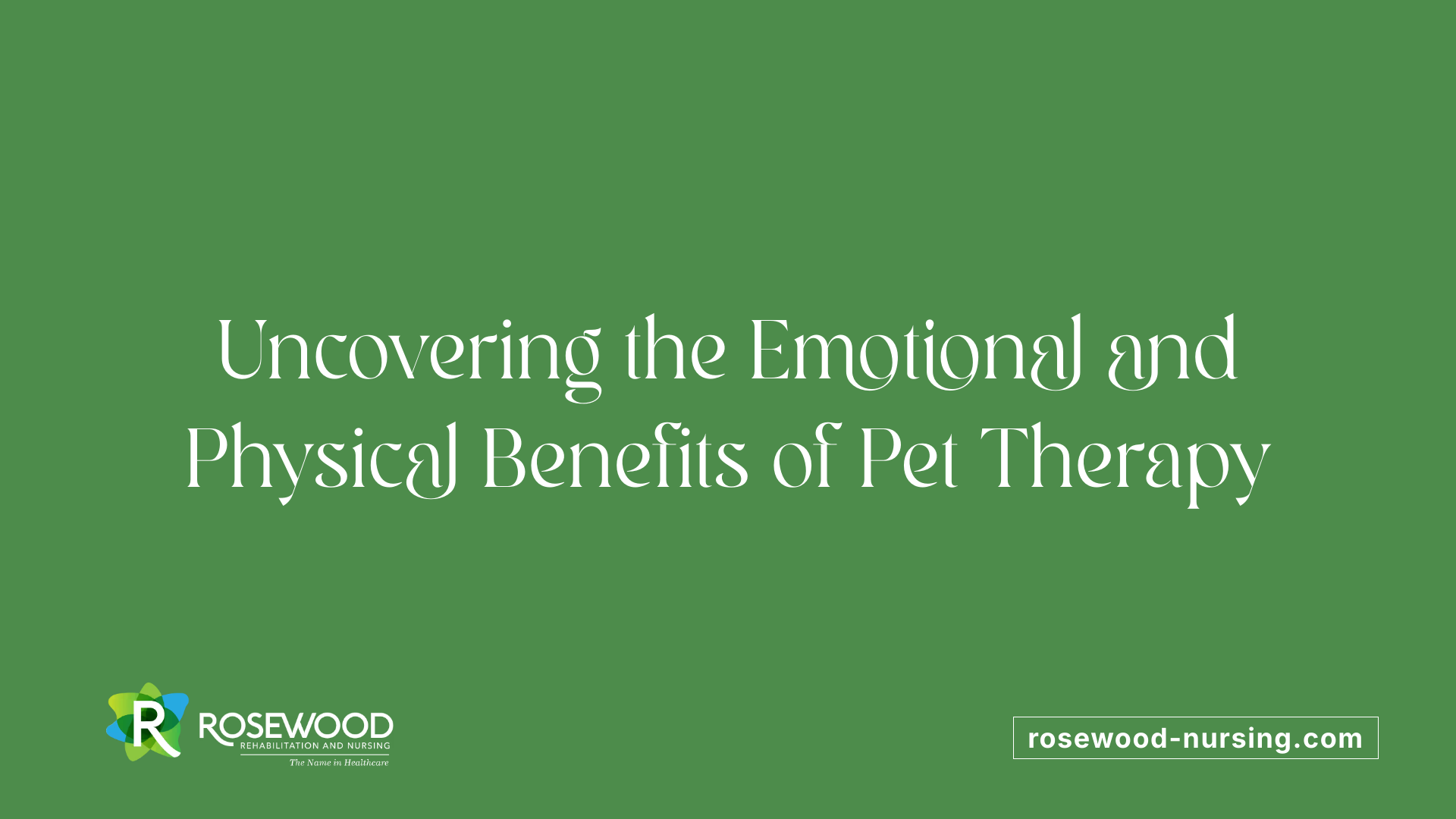 Uncovering the Emotional and Physical Benefits of Pet Therapy