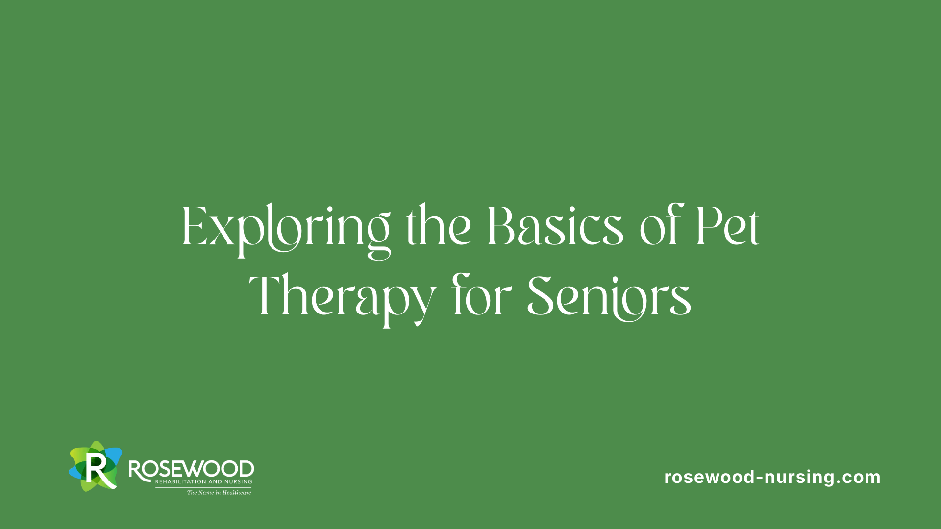 Exploring the Basics of Pet Therapy for Seniors