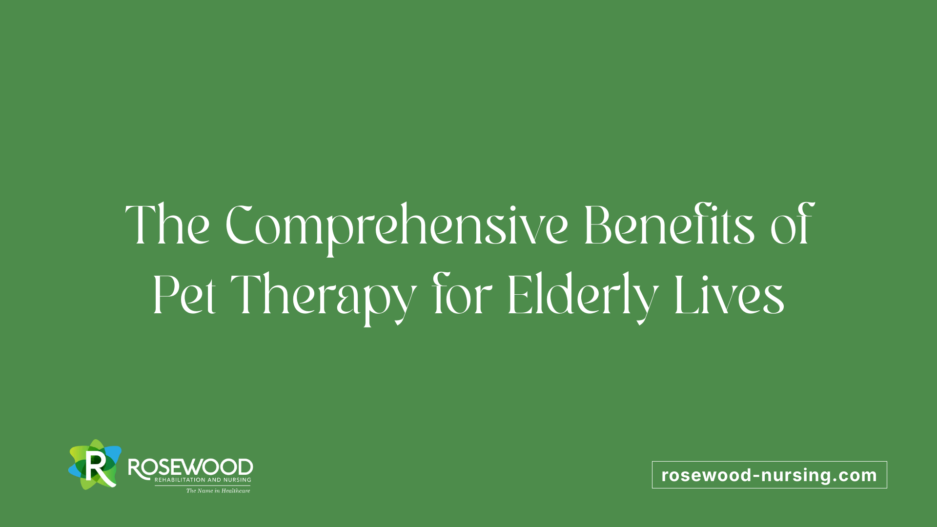 The Comprehensive Benefits of Pet Therapy for Elderly Lives