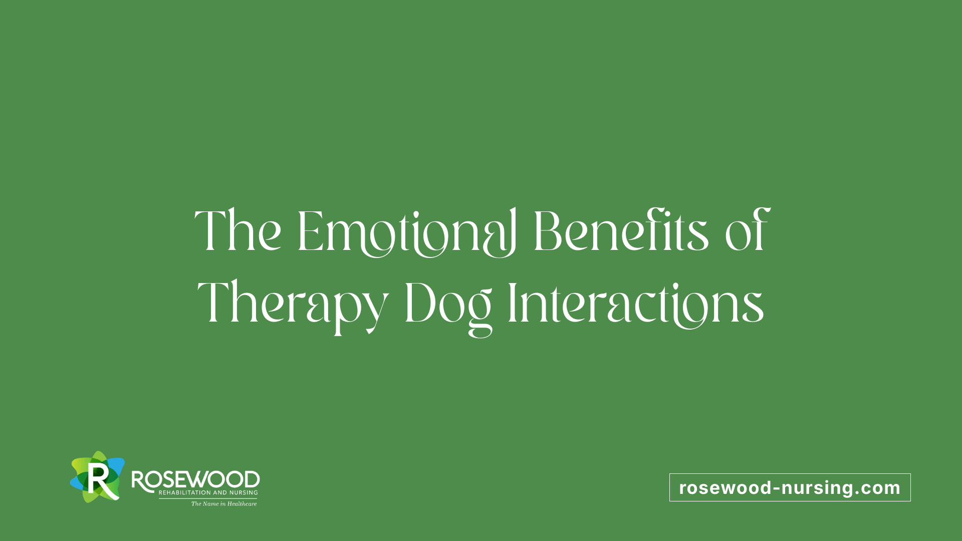 The Emotional Benefits of Therapy Dog Interactions