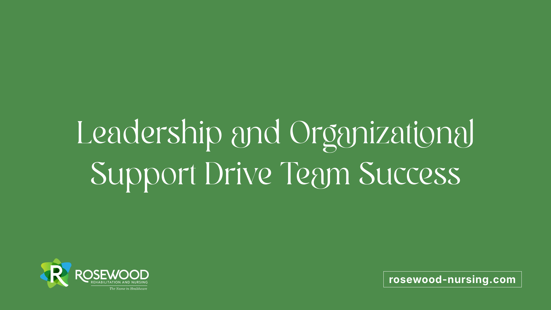 Leadership and Organizational Support Drive Team Success