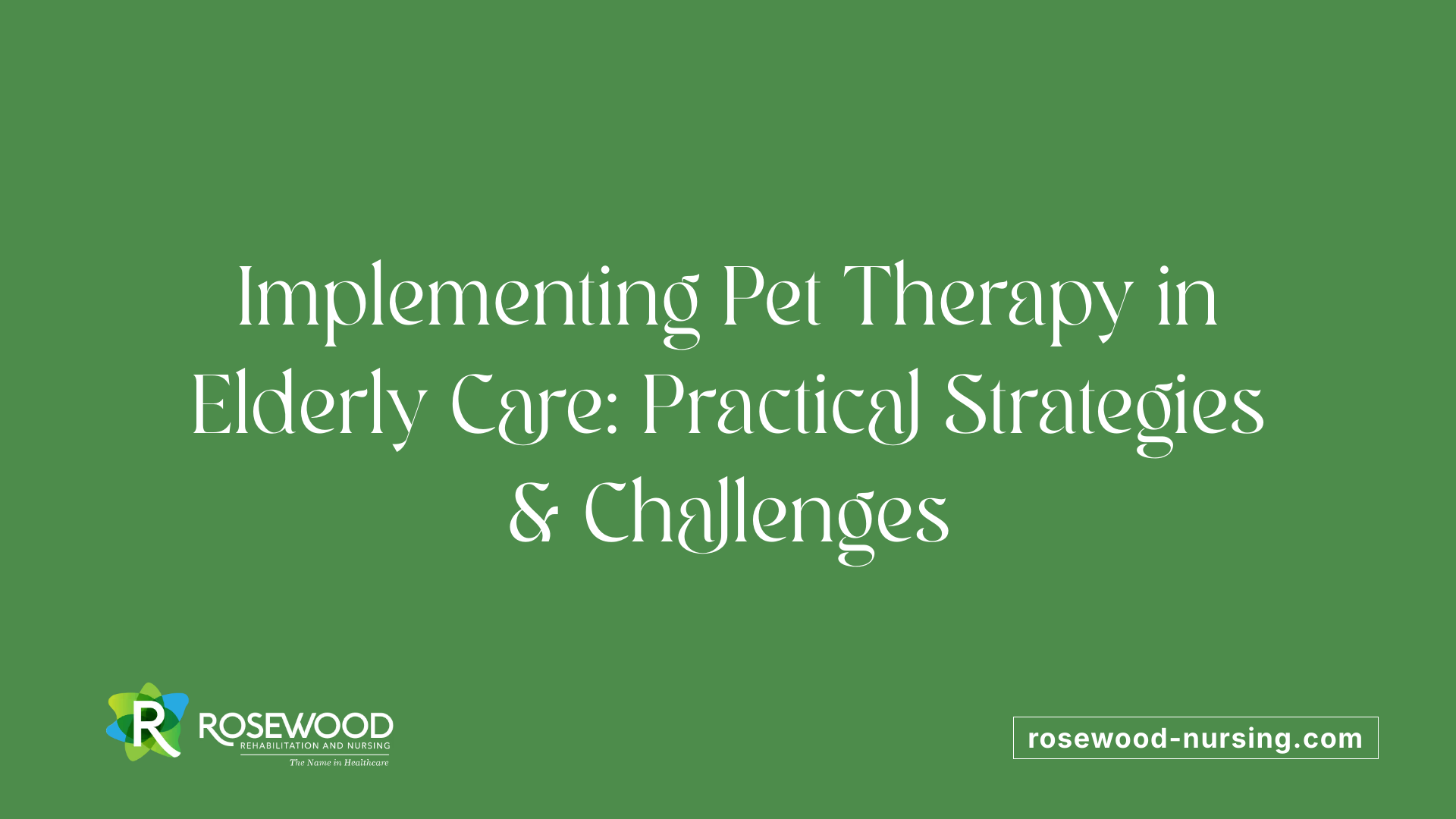 Implementing Pet Therapy in Elderly Care: Practical Strategies &amp; Challenges