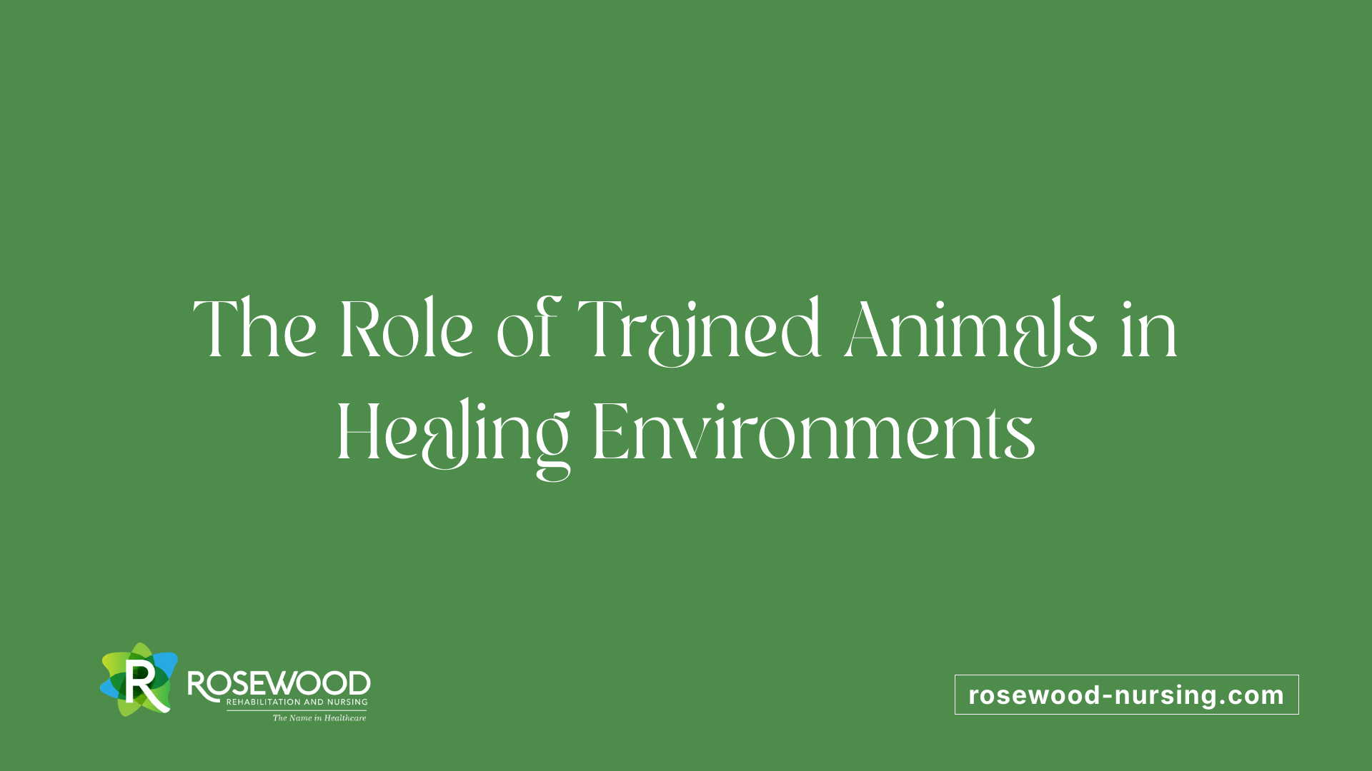 The Role of Trained Animals in Healing Environments