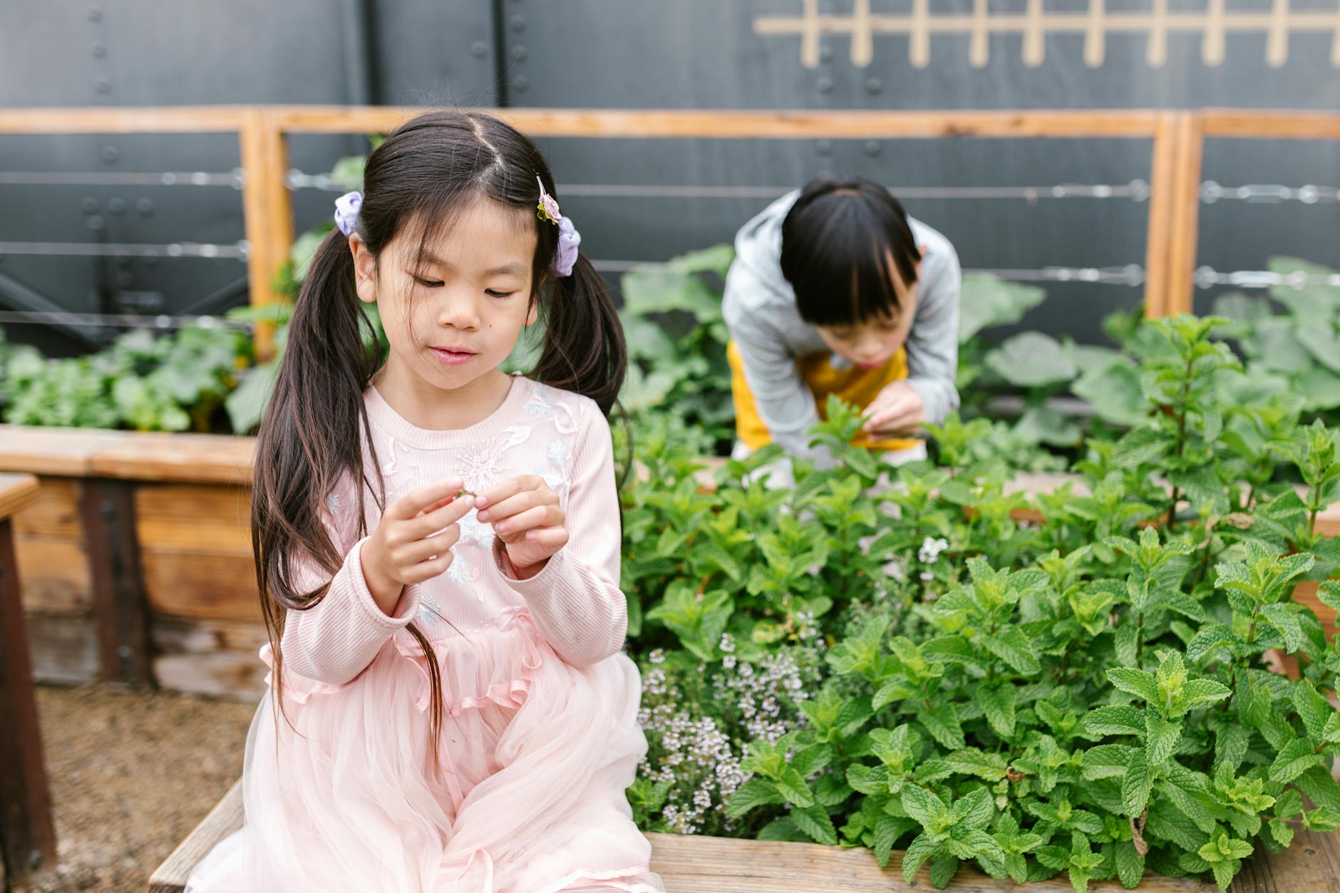 What is Pervasive Developmental Disorder: A Comprehensive Guide