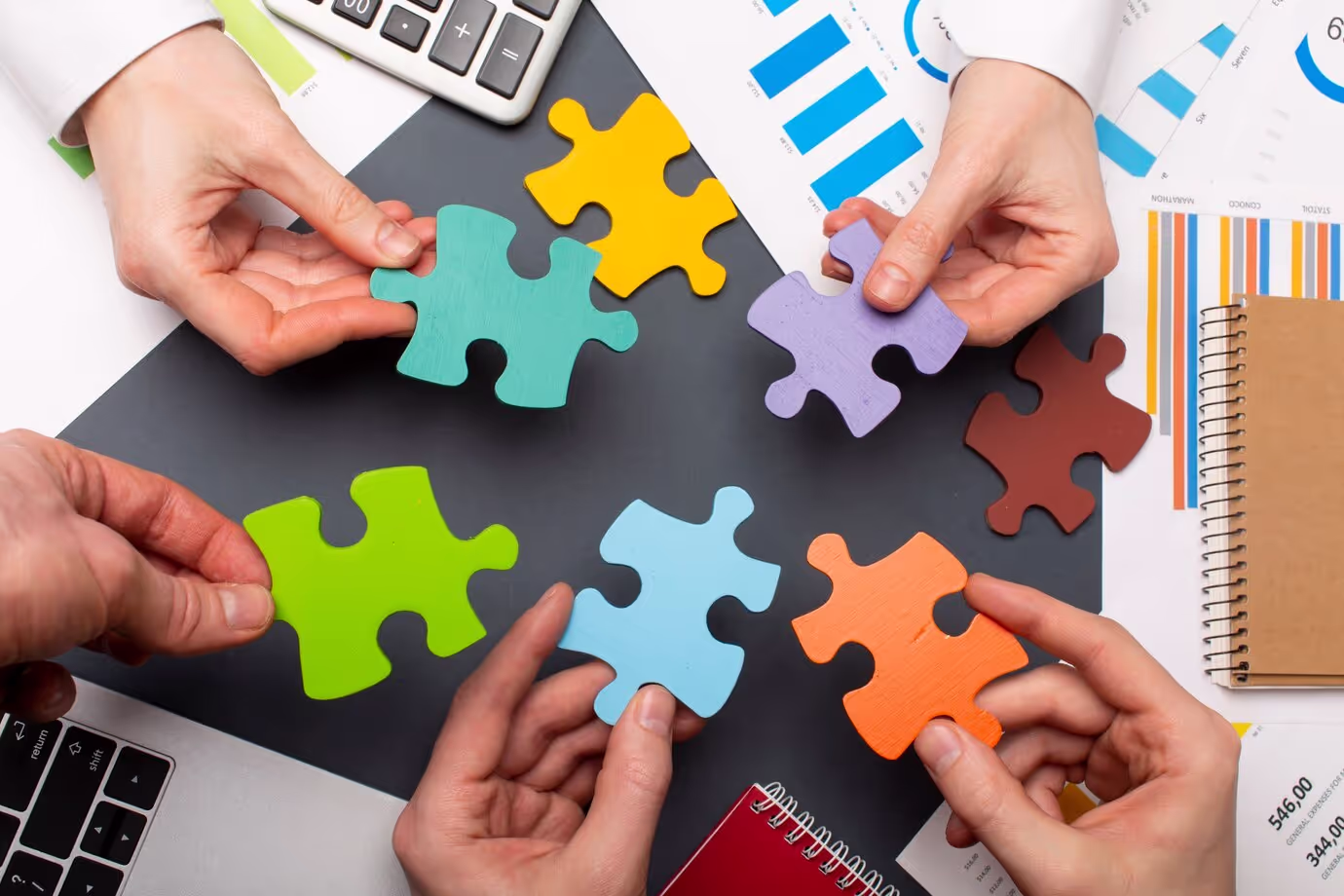 What is the Role of Autism Society of North Carolina