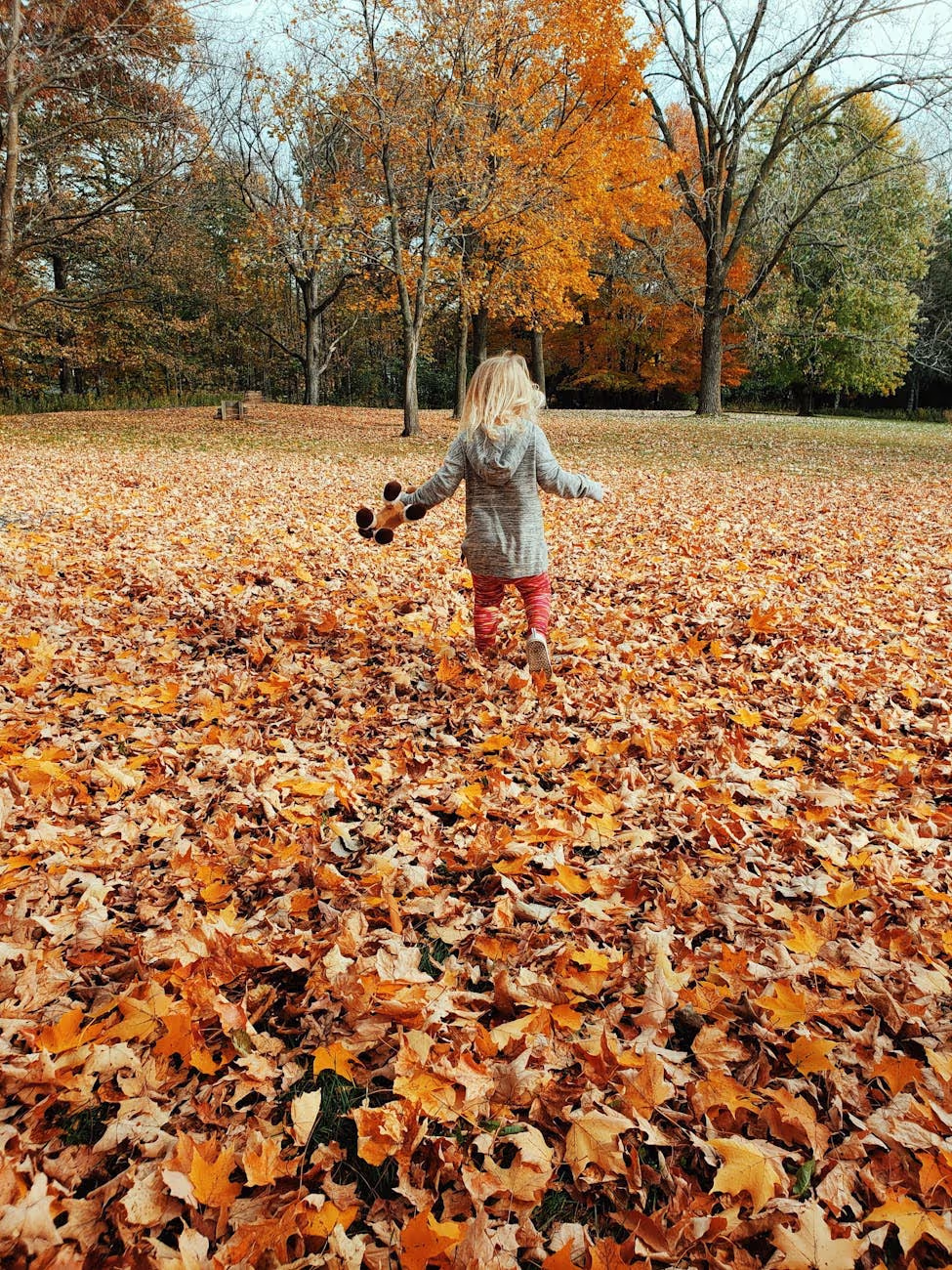 The Spectrum of ADHD and Autism Together
