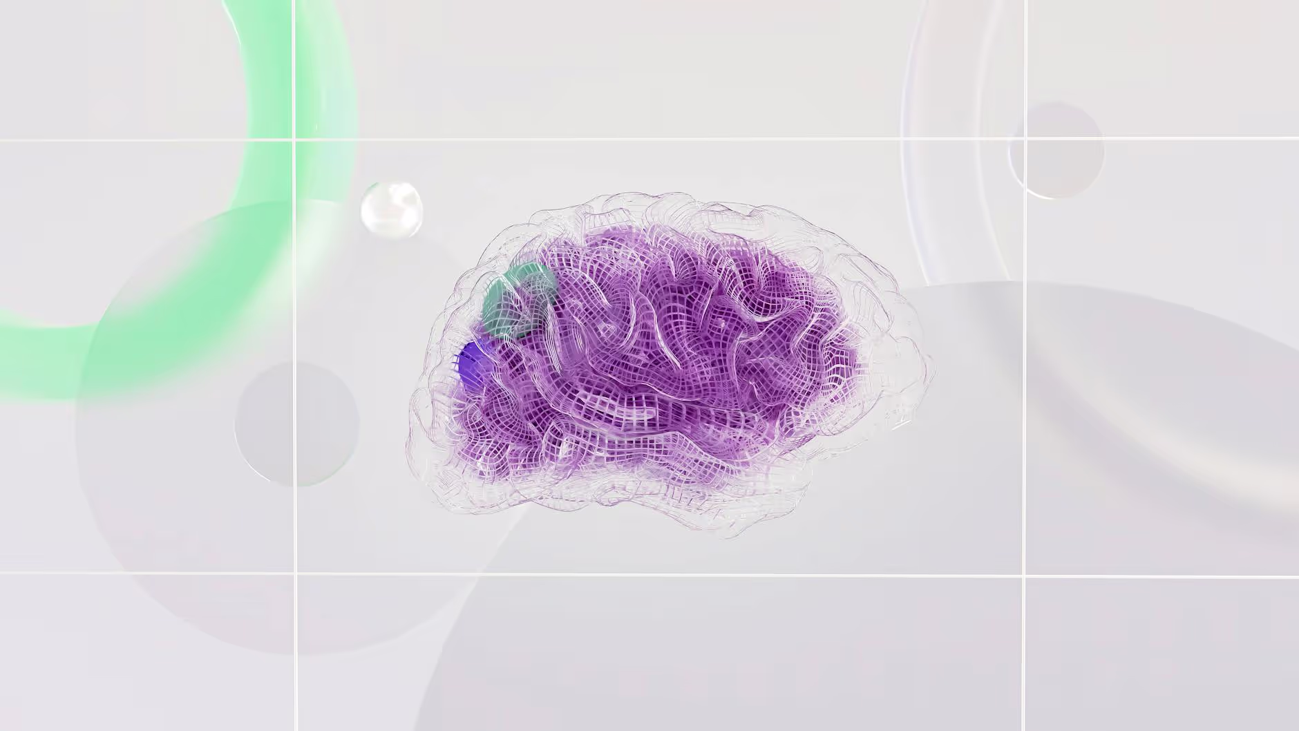 What Occurs in the Brain with Autism