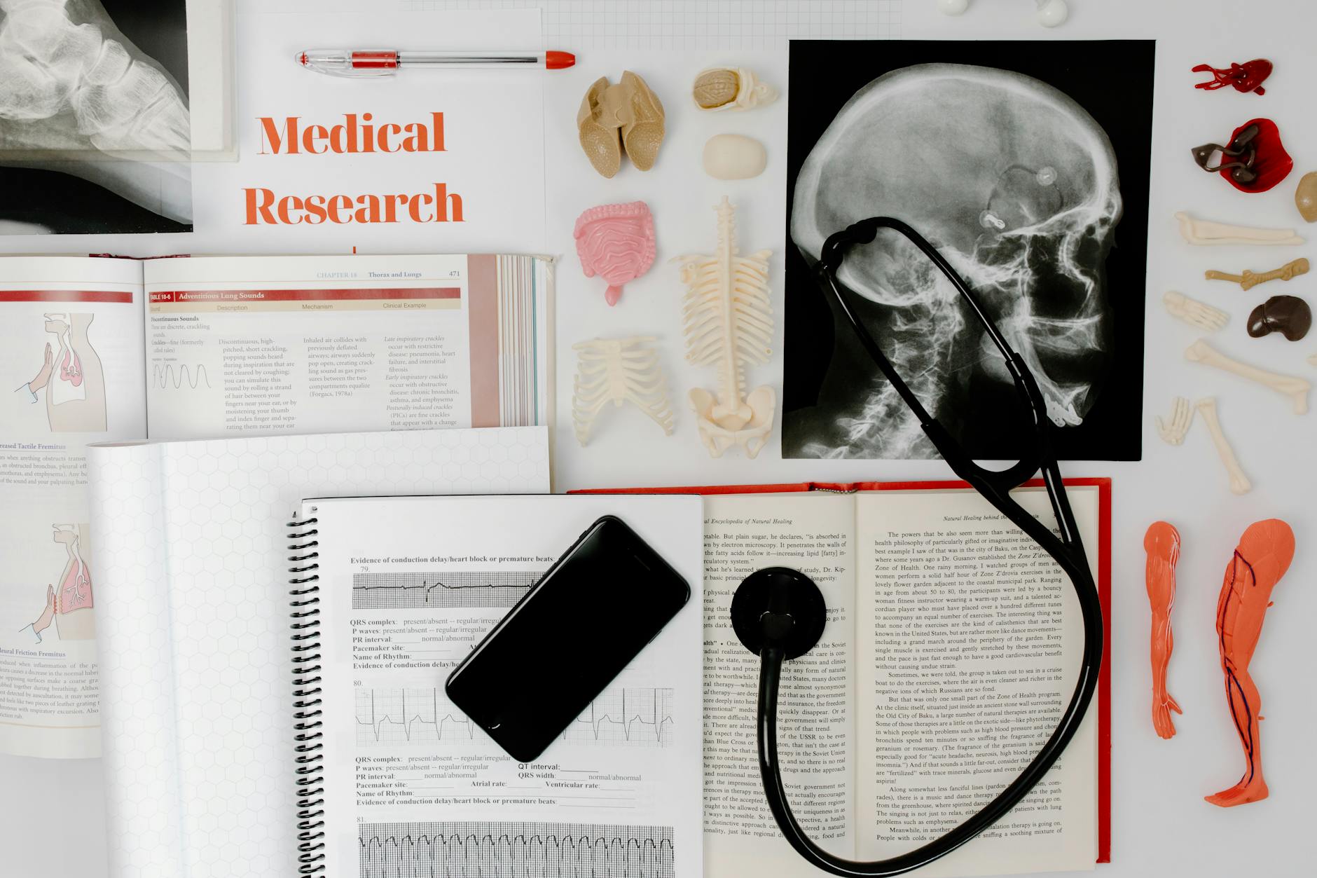 Dive into Essential Hospital Statistics