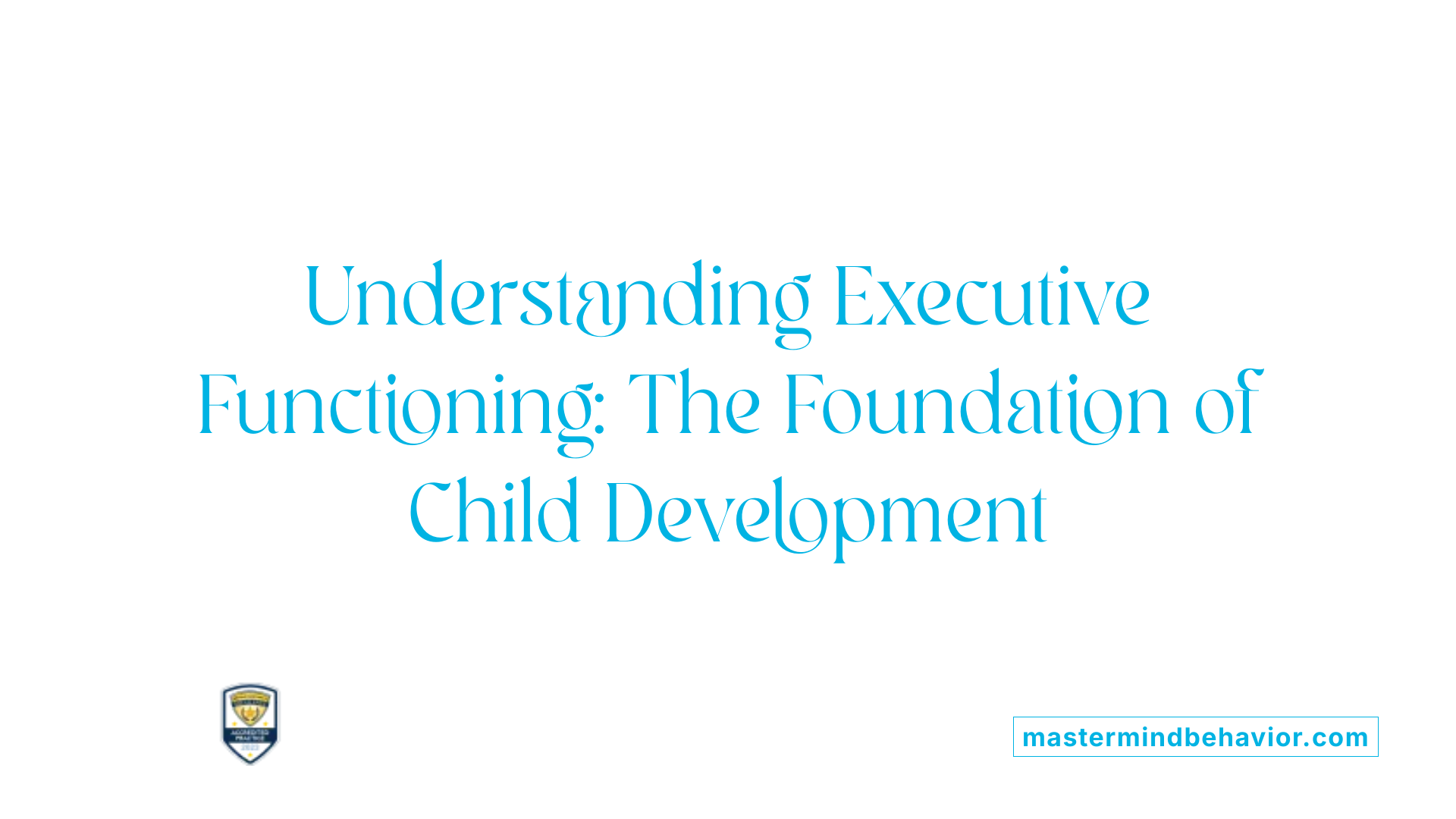 Understanding Executive Functioning: The Foundation of Child Development