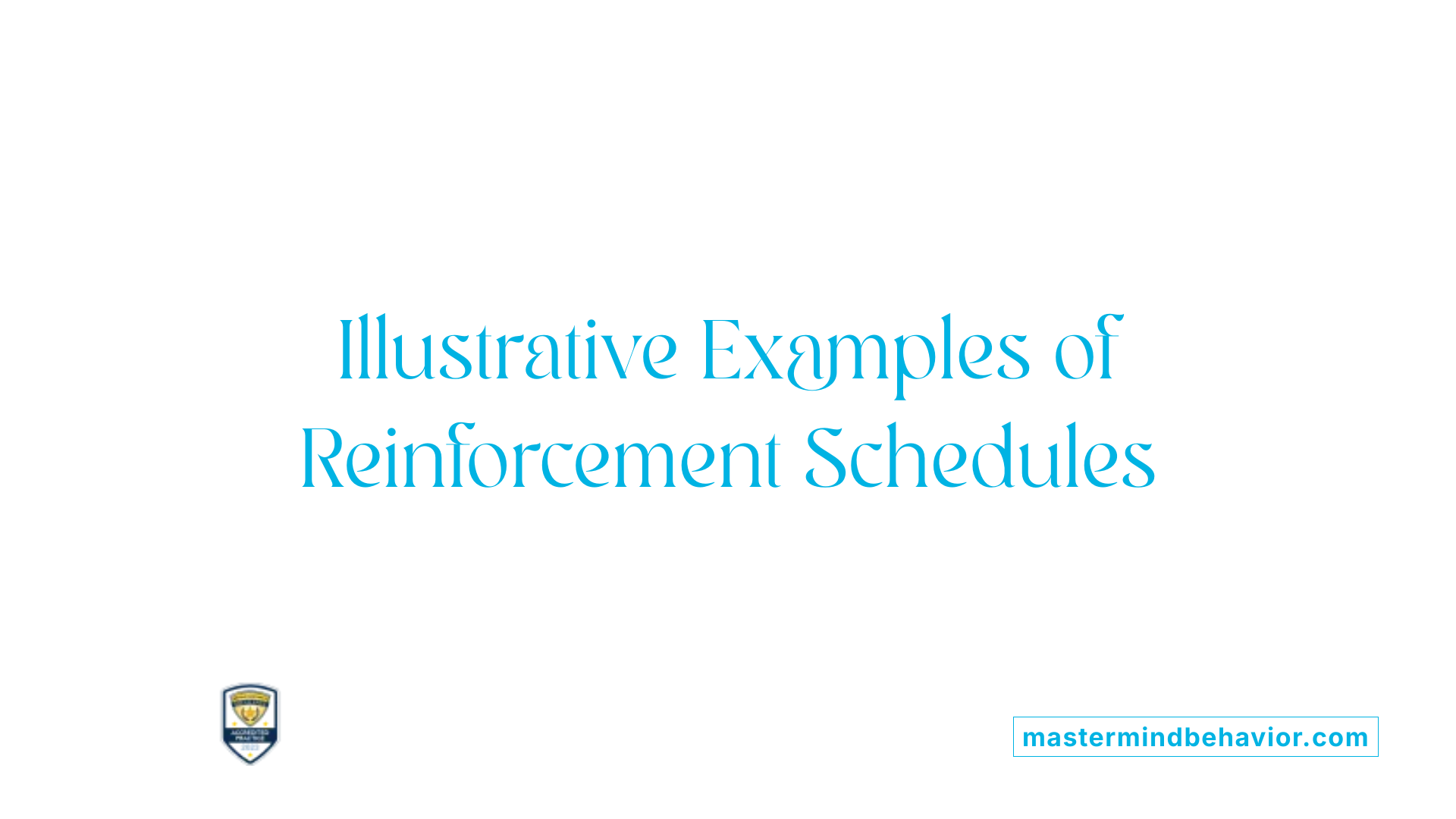 Illustrative Examples of Reinforcement Schedules