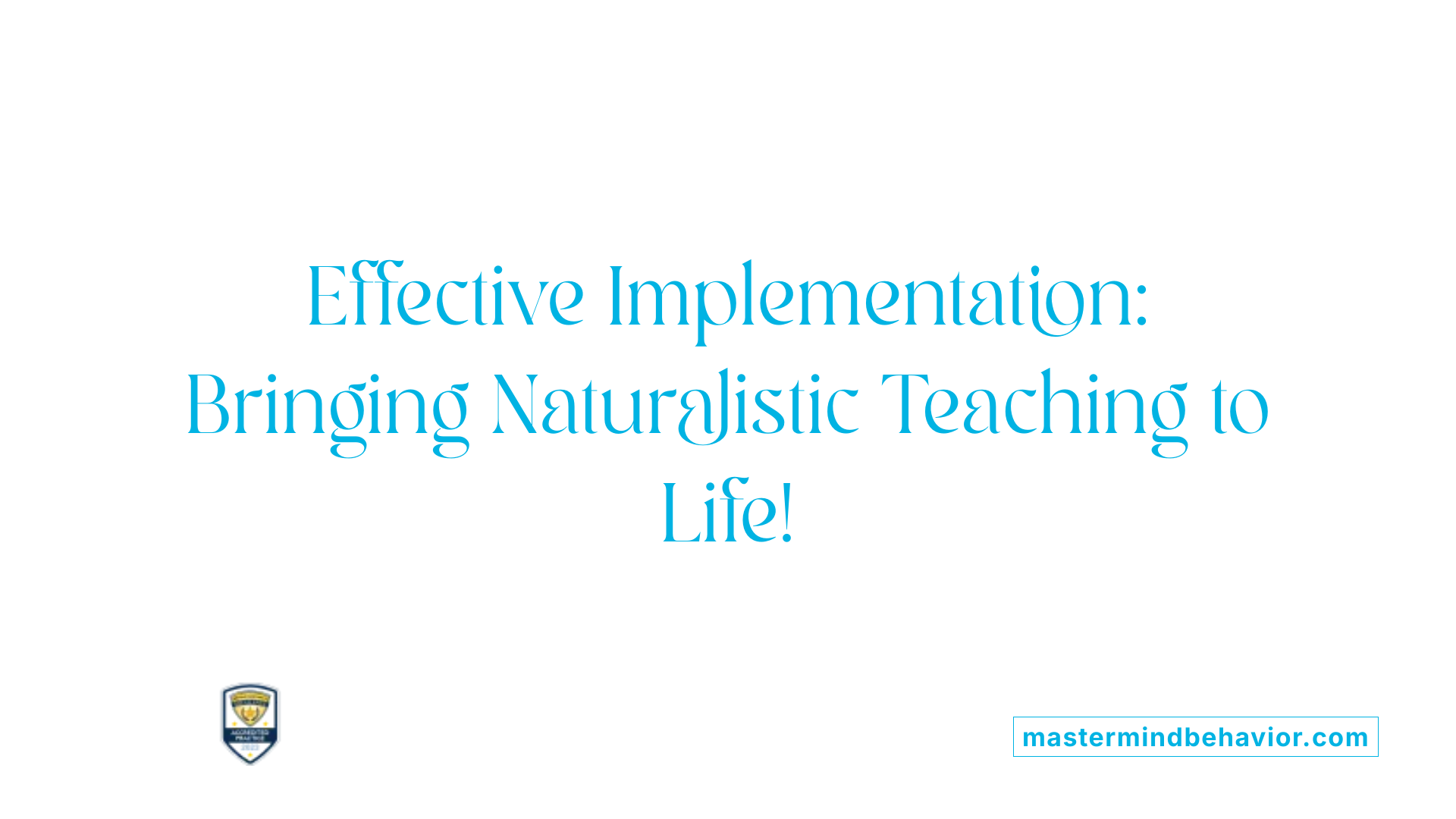 Effective Implementation: Bringing Naturalistic Teaching to Life!