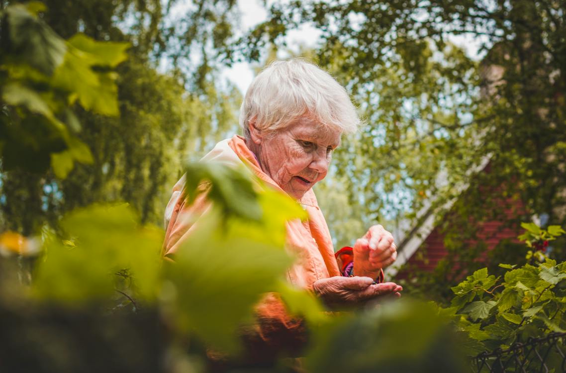 Free Shallow Focus Photo of Woman Near Plants Stock Photo