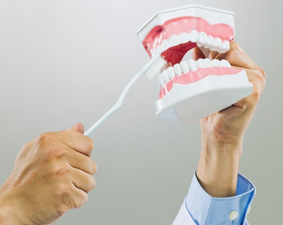 Free Person Brushing Dentures Stock Photo
