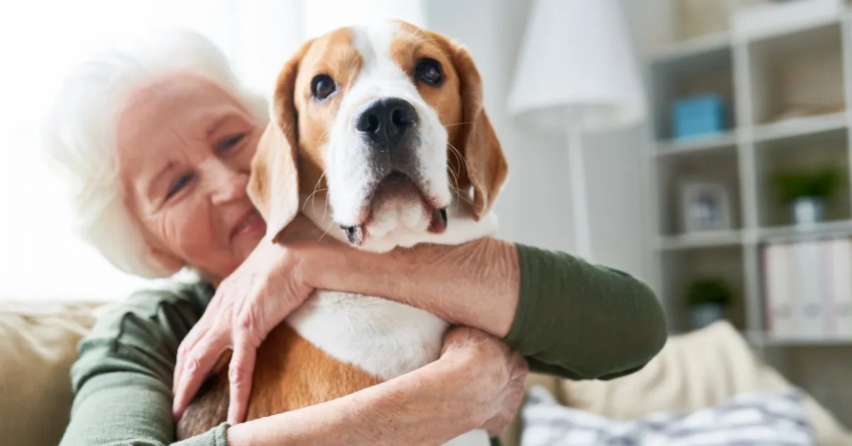 Low Cost Pet Care For Seniors