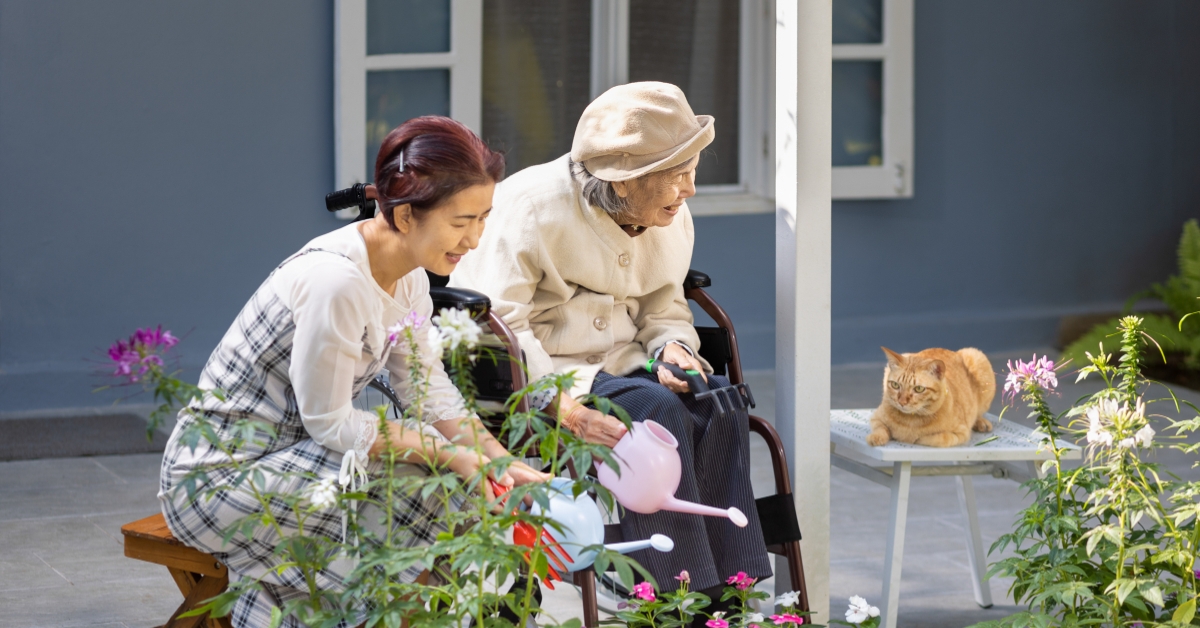 How to Care for Dementia Elderly at Home?