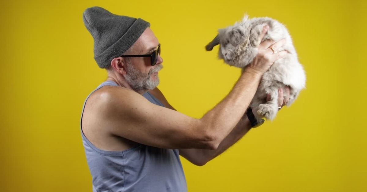 What is Senior Pet Therapy?