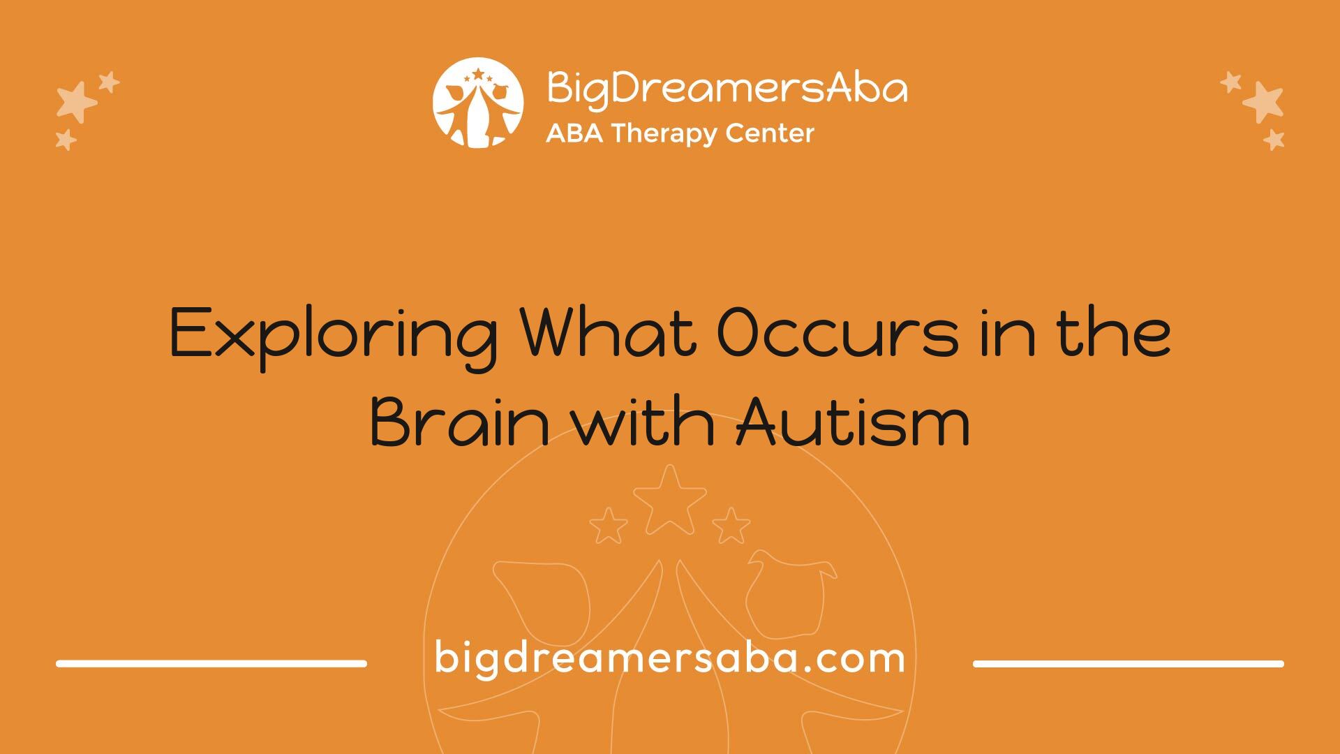 Exploring What Occurs in the Brain with Autism