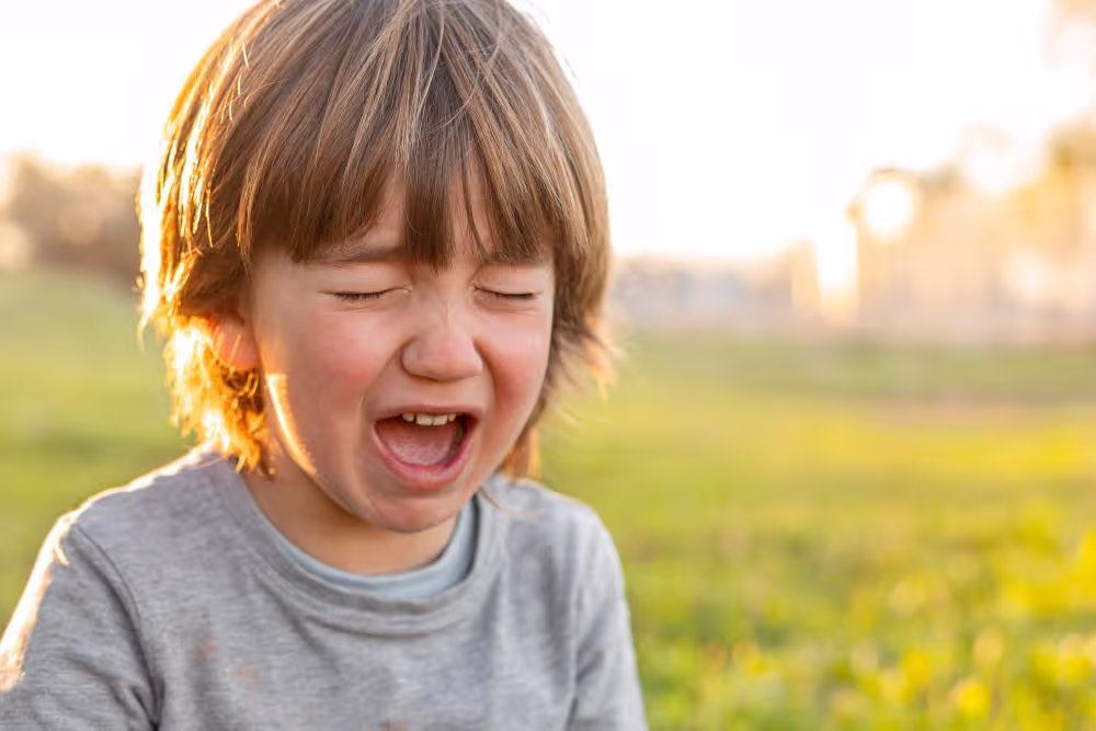 What Are Autism Meltdowns?