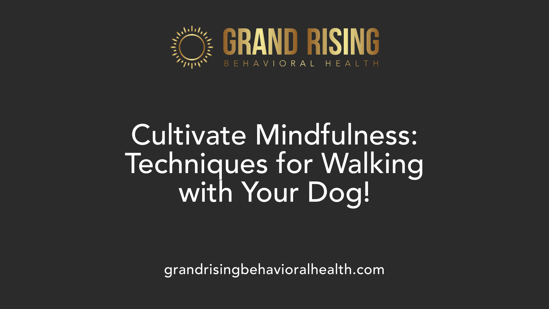 Cultivate Mindfulness: Techniques for Walking with Your Dog!
