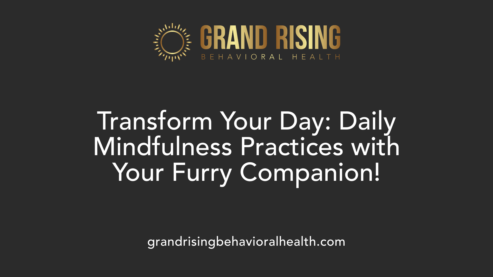 Transform Your Day: Daily Mindfulness Practices with Your Furry Companion!