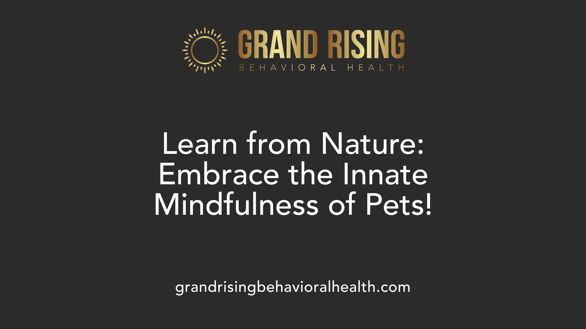 Learn from Nature: Embrace the Innate Mindfulness of Pets!